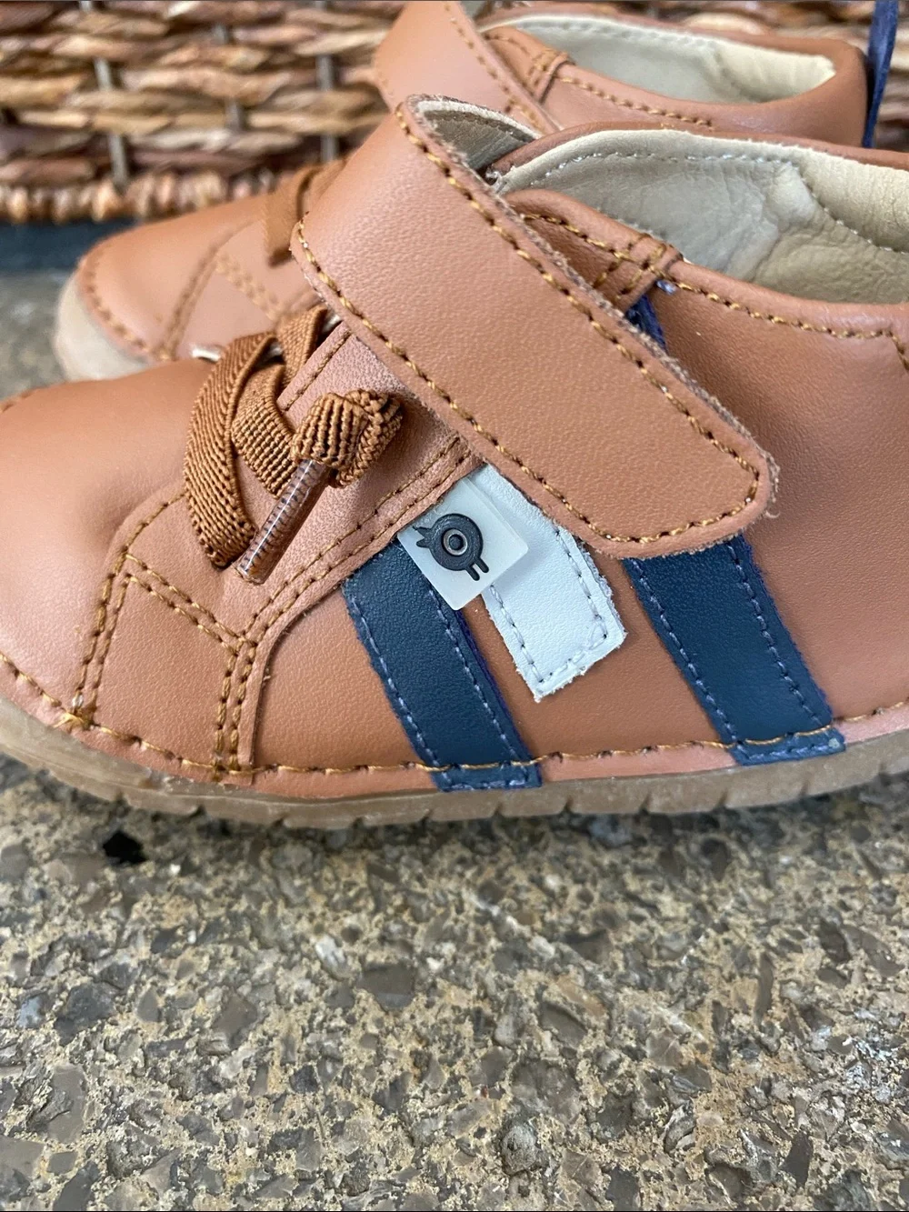 Old Soles Brown Leather Baby Sneakers with Blue Accents